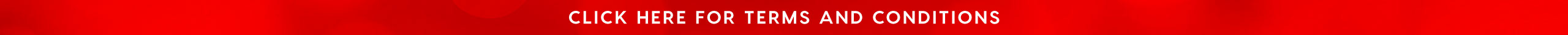 Promo eGift Card Terms and Conditions