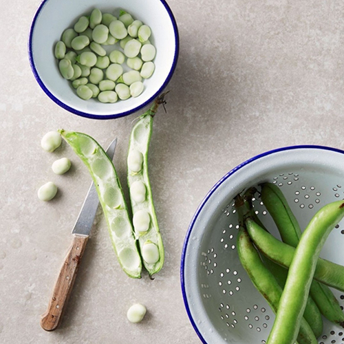 Strainers, Steamers & Colanders