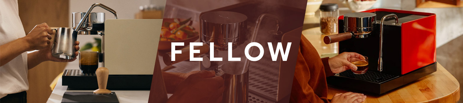 Fellow