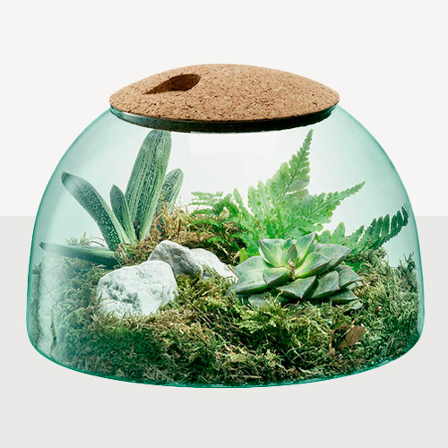 Planters