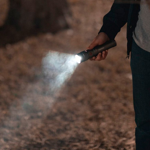 Torches