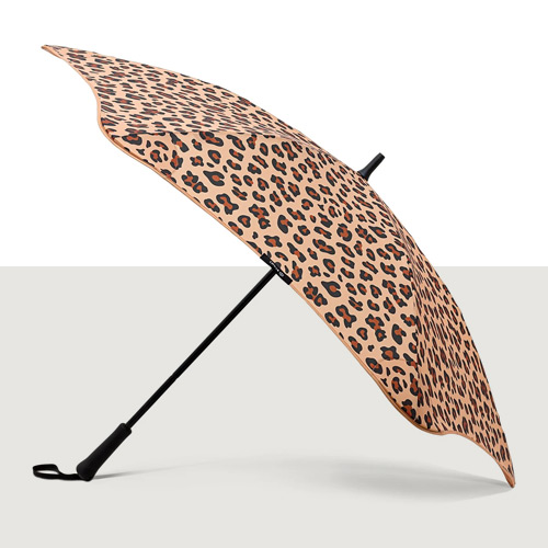 Umbrellas