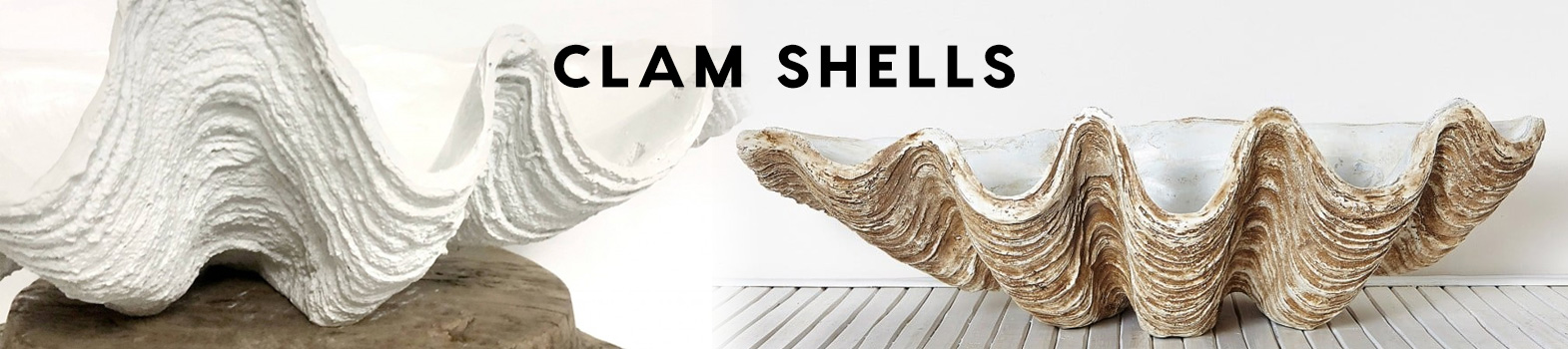 Clam Shells