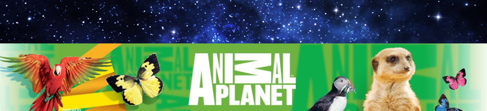 Animal Planet